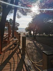 IMG 20210913 172325 (1)