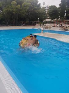 IMG 20210915 162154 (1)